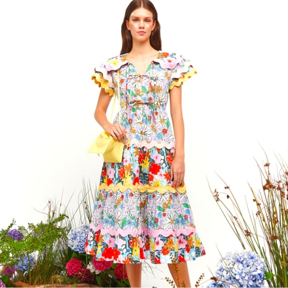 CeliaB Olav Dress size Small NWT - Picture 2 of 6